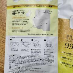 PROTECT BEE 3D MASK　山田養蜂場　ダイヤモンド型マスク 5セットの画像
