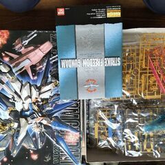 MG ストライクフリーダムガンダム