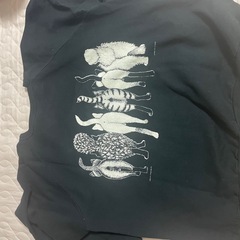 トレーナー②の画像