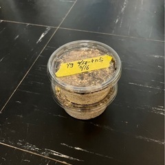【国産オオクワガタ　幼虫】　能勢YG血統　4匹セット
