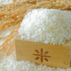 予約販売令和７年産の『コシヒカリ』をお譲りします。
