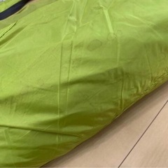 ロゴステントの画像