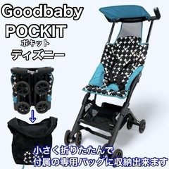 ポキット ディズニー限定デザイン エメラルドグリーン　専用収納袋付き