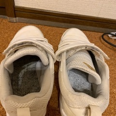 野球トレーニングシューズの画像