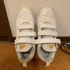 野球トレーニングシューズ