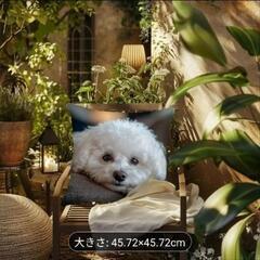 ビションフリーゼ♦犬の枕カバー 45.72x45.72cm - 両面プリントの画像