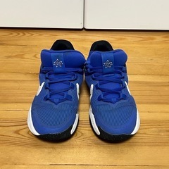 NIKE ナイキ スニーカー 19cmの画像