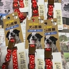 中型犬　首輪　ダイソー商品