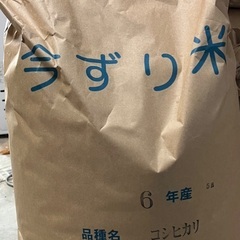 令和6年産コシヒカリ玄米　