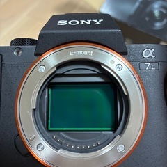 【シャッター数約7,300】SONY α7II ボディ+予備バッテリーの画像