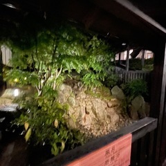 6月1日、博多か天神でご飯かカフェ行ける方！