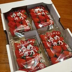 ゆめのか苺4パック【決定しました】