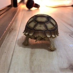 レスポンスが早い友達が欲しいでーす