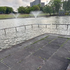 レスポンスが普通な友達がほしー - 新宿区