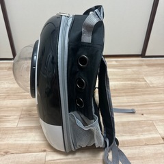 キャリーバッグの画像