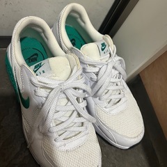 NIKE Air max 27.5
