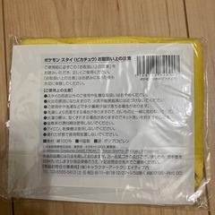 未使用　ポケモン　ピカチュウ　スタイの画像