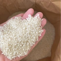 お米　古米　玄米　30キロ　売ってください！