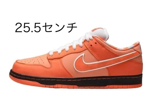 Concepts × Nike SB Dunk Low SP 