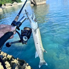 船釣り仲間募集