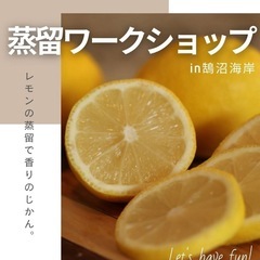 蒸留ワークショップ