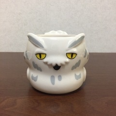 木兎フクロウ 3Dカップ