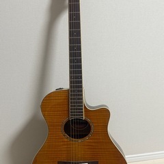 エレアコYAMAHAのAPS600FMとケース【草加】