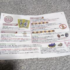 未使用　ザ・鉄玉子　鉄分補給　南部鉄の画像