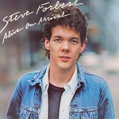 スティーブ・フォーバート/Steve Forbert　LPレコードセットの画像