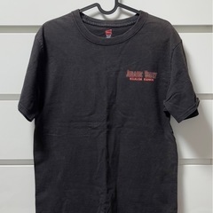 【メンズのMsize 】ジュラシックパークTシャツの画像