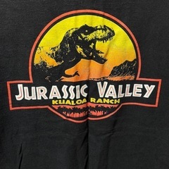 【メンズのMsize 】ジュラシックパークTシャツの画像