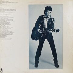 スティーブ・フォーバート/Steve Forbert　LPレコードセットの画像