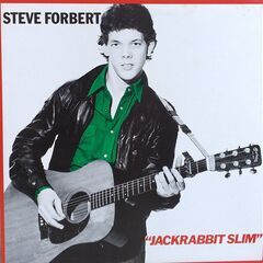 スティーブ・フォーバート/Steve Forbert　LPレコードセットの画像