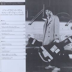 スティーブ・フォーバート/Steve Forbert　LPレコードセットの画像