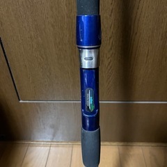 ダイワ シーパワー T2 インターラインの画像