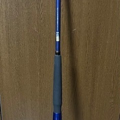 ダイワ シーパワー T2 インターライン