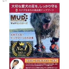 Muttluks マッドモンスターズ　犬用靴
の画像