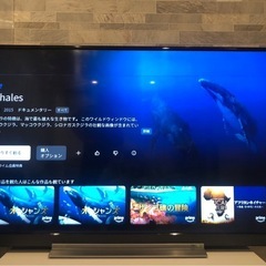 テレビ55インチ　REGZA