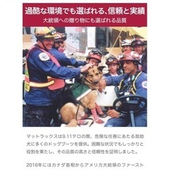 Muttluks マッドモンスターズ　犬用靴
の画像