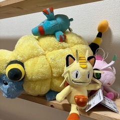 ポケモンぬいぐるみ
