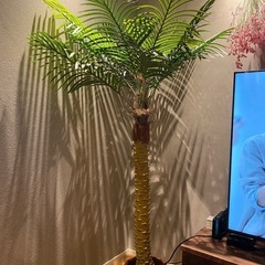 フェイクグリーン　ヤシの木　