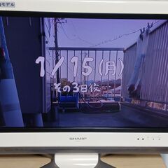 SHARP 　AQUOS　液晶テレビ LC-26D30　世界の亀...