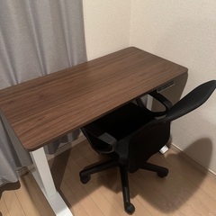 山善　電動昇降デスク
