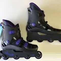 インラインスケート「XT-5000 JR」24cmの画像