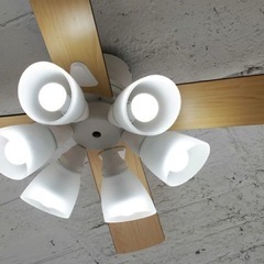 DAIKOシーリングファン　照明器具　6灯