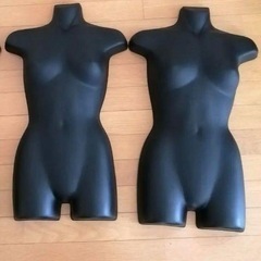 女性ハーフトルソー前面のみ2体(1体のみでも可)