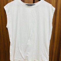 フレンチスリーブTシャツの画像