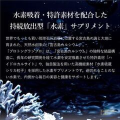 NO3新品未開封＊エステプロラボ【プロトングランプロ】定価7560円の画像