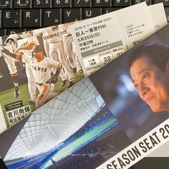 急募⚾️本日東京ドームvs燕デーゲーム！良席！