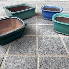 お話中　ミニ盆栽鉢